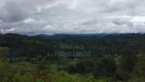 Valuable Land for Sale in Bandarawela Kontehela