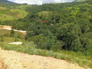 Beautiful Land for Sale Delthota