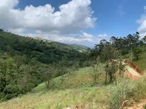Beautiful Land for Sale Delthota