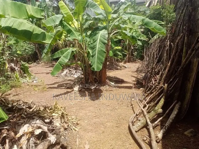 Valuable Land For Sale In Hanwella