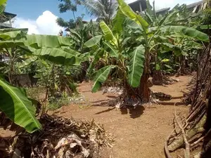 Valuable Land For Sale In Hanwella