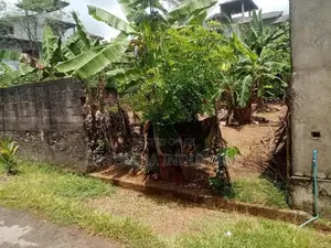 Valuable Land For Sale In Hanwella