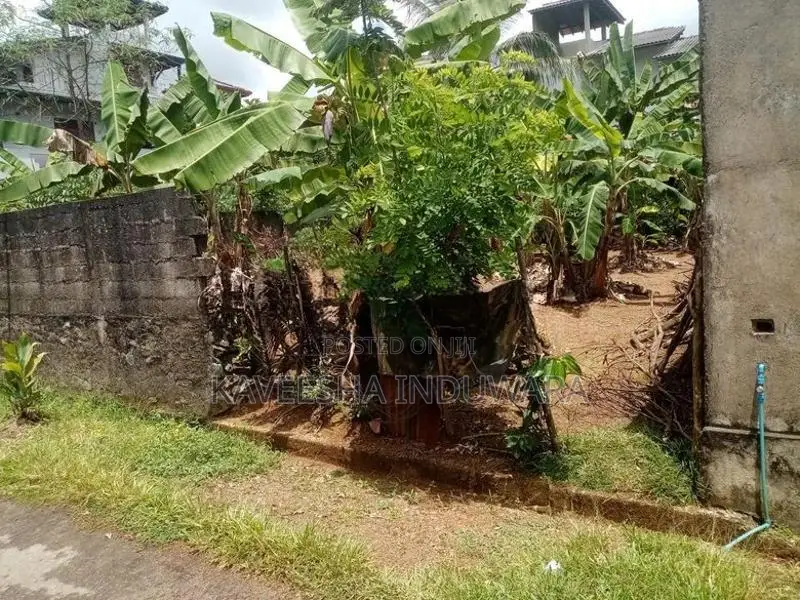 Valuable Land For Sale In Hanwella