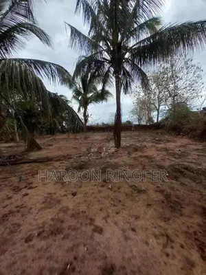 Land For Sale Arugambay Area In Arugam Bay