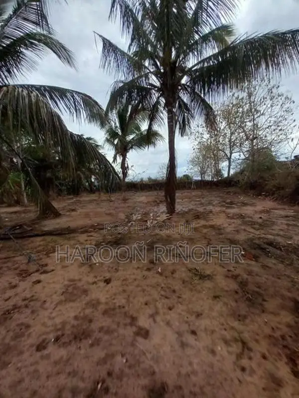 Land For Sale Arugambay Area In Arugam Bay