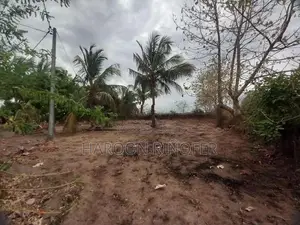 Land For Sale Arugambay Area In Arugam Bay