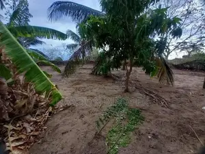 Land For Sale Arugambay Area In Arugam Bay