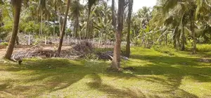 කුරුණෑගල නුවර පාරෙන් පදිංචියට ඉඩමක්