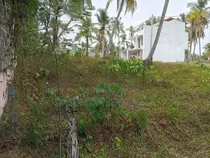 Land for Sale in Yakkala Town
