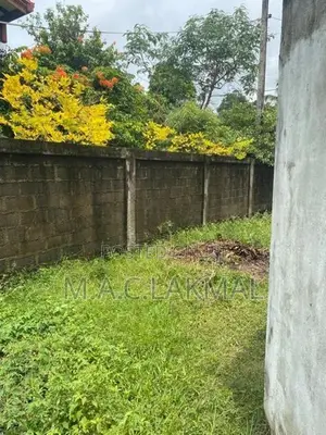 Land in Boralasgamuwa