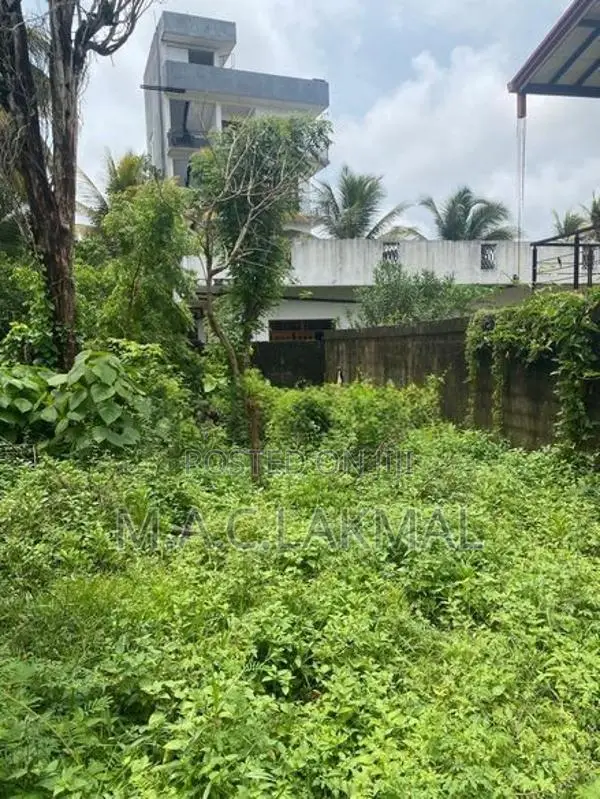 Land in Boralasgamuwa