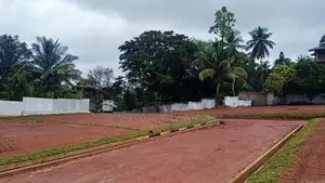 Valuable Land for Sale Near Kottawa Town