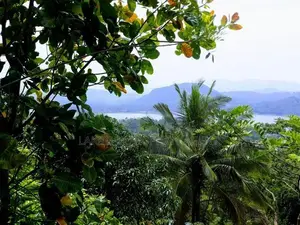 වික්ටෝරියා ජලාශයට මුහුණලා