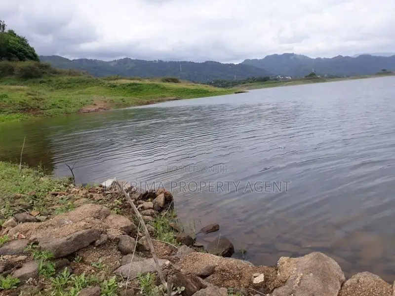 වික්ටෝරියා ජලාශයට මුහුණලා