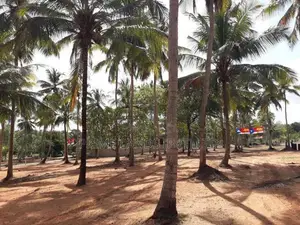 පදිංචියට ඉඩමක් - බලල්ල