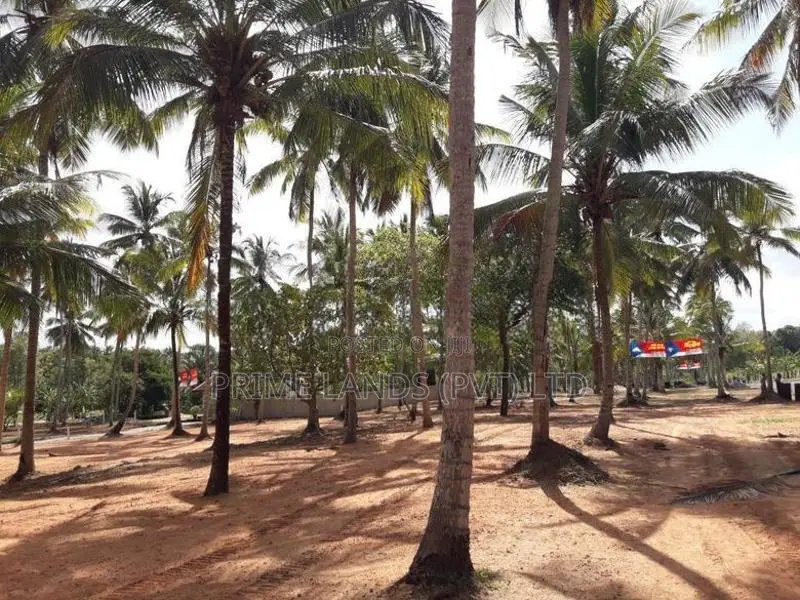 පදිංචියට ඉඩමක් - බලල්ල