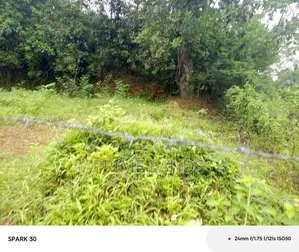 Land for Sale Mullagama