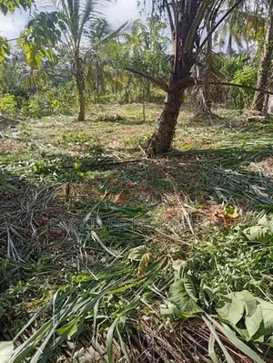 මීරිගම – වෙද හන්දියෙන් වටිනා ඉඩමක් විකිණීමට!