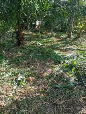 මීරිගම – වෙද හන්දියෙන් වටිනා ඉඩමක් විකිණීමට!