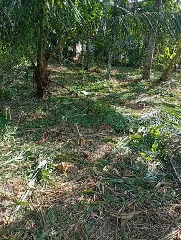 මීරිගම – වෙද හන්දියෙන් වටිනා ඉඩමක් විකිණීමට!