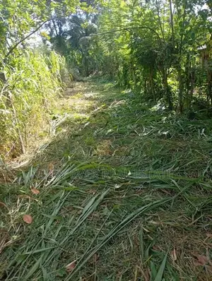 මීරිගම – වෙද හන්දියෙන් වටිනා ඉඩමක් විකිණීමට!