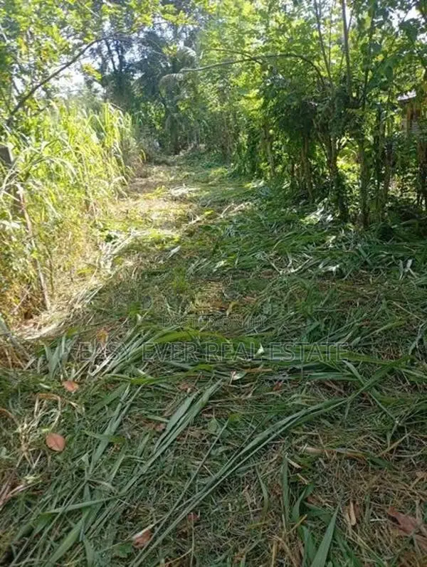 මීරිගම – වෙද හන්දියෙන් වටිනා ඉඩමක් විකිණීමට!