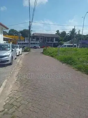 (SLS 12) Valuable 29 Perches Land for Sale in Papiliyana Main Road