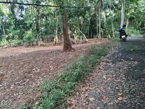 Land for Sale Nelundeniya