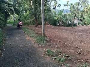 Land for Sale Nelundeniya