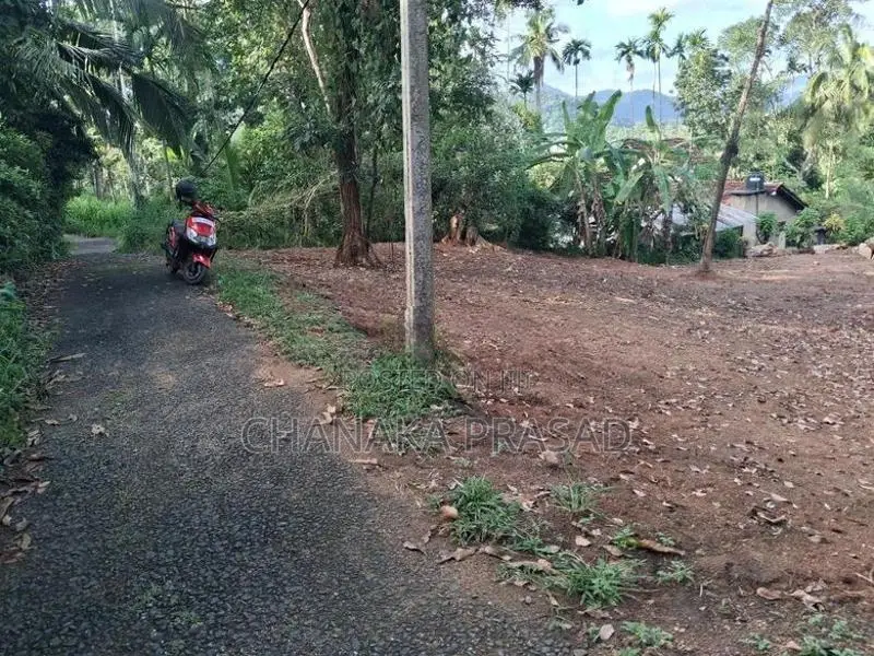 Land for Sale Nelundeniya