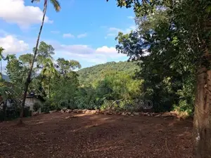 Land for Sale Nelundeniya