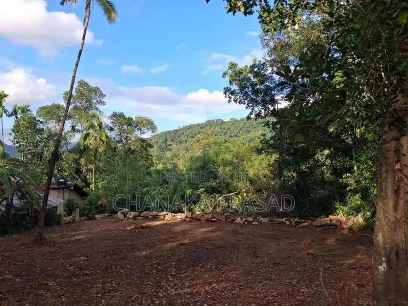 Land for Sale Nelundeniya