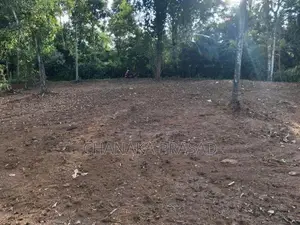 Land for Sale Nelundeniya