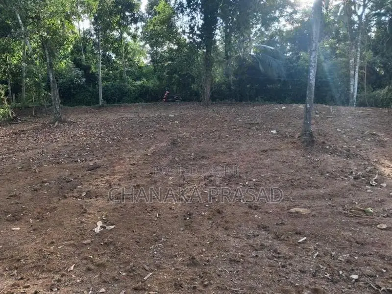 Land for Sale Nelundeniya