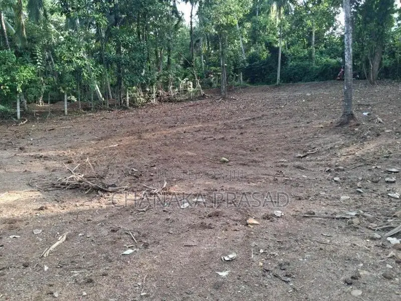 Land for Sale Nelundeniya