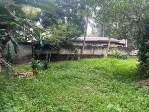 කඩවත – ඉහළ බියන්විල වටිනා ඉඩමක් විකිණීමට