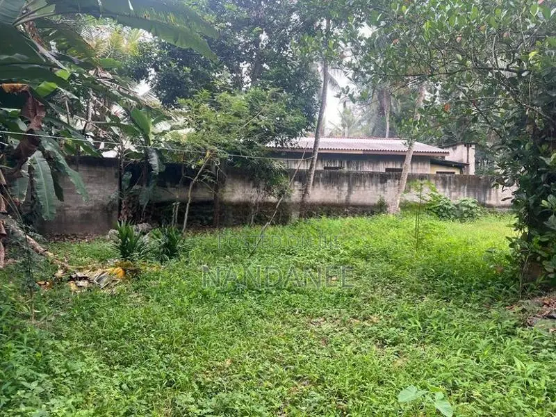 කඩවත – ඉහළ බියන්විල වටිනා ඉඩමක් විකිණීමට
