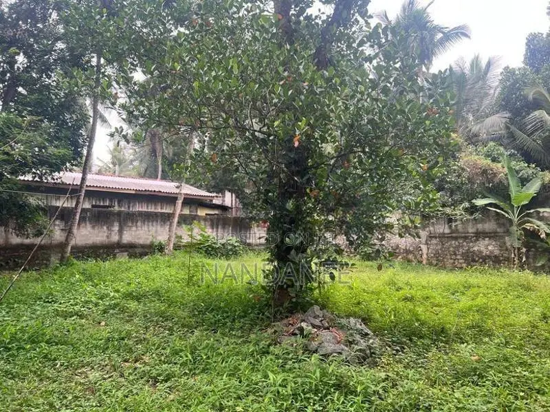 කඩවත – ඉහළ බියන්විල වටිනා ඉඩමක් විකිණීමට