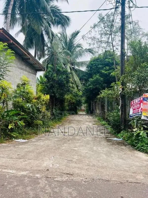 කඩවත – ඉහළ බියන්විල වටිනා ඉඩමක් විකිණීමට