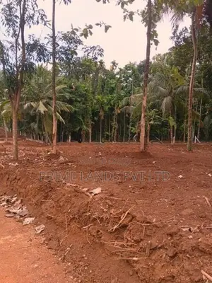 කුරුණෑගල ඉඩමක්