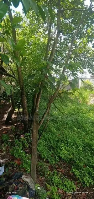 Prime 20-Perch Residential Land for Sale – Malabe