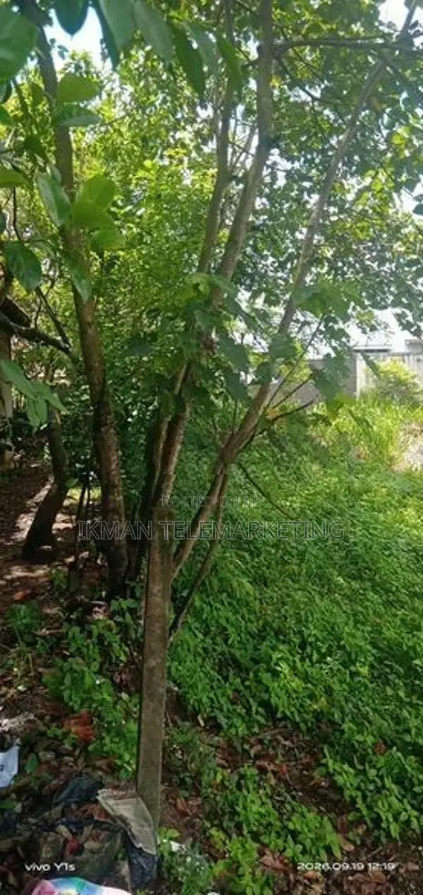 Prime 20-Perch Residential Land for Sale – Malabe
