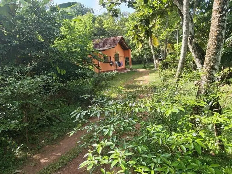 Land for Sale in Kalutara