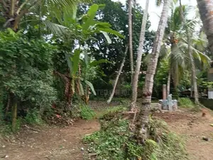 15 Perch Land for Sale – Ihala Bomiriya, Kaduwela