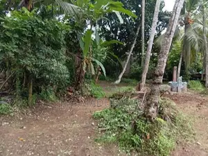 15 Perch Land for Sale – Ihala Bomiriya, Kaduwela