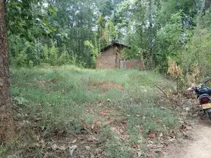 කොලොන්ගොඩ Land Sale