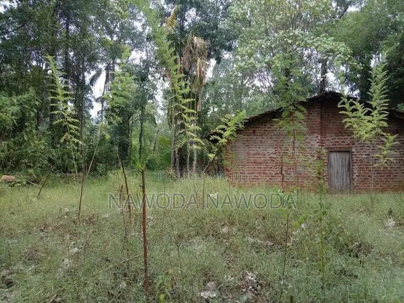 කොලොන්ගොඩ Land Sale