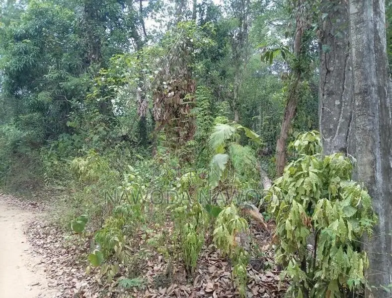 කොලොන්ගොඩ Land Sale