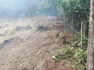 Valuable Residential Land for Sale in Haloluwa, Kandy