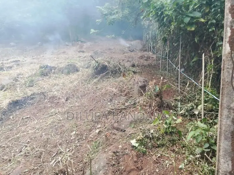 Valuable Residential Land for Sale in Haloluwa, Kandy